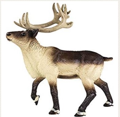 reindeer2